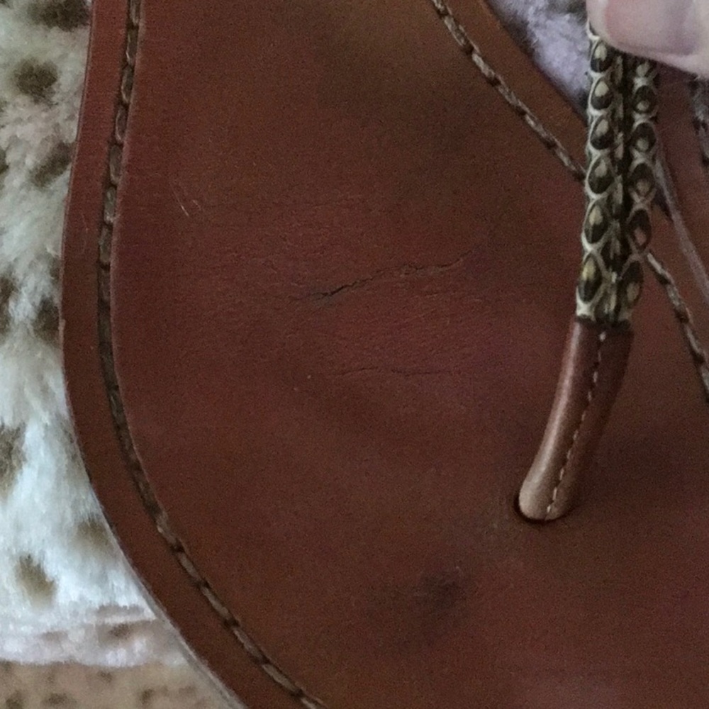 Snake Coach Sandals - Picture 5 of 6